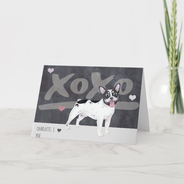 Boston Terrier - French Bulldog Valentines Day Holiday Card (Front)