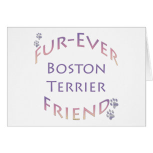 Boston Terrier Furever