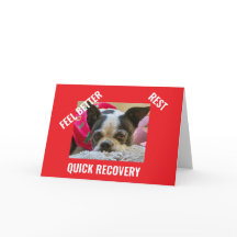 BOSTON TERRIER get well card