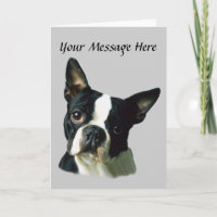 Boston Terrier Greeting Card