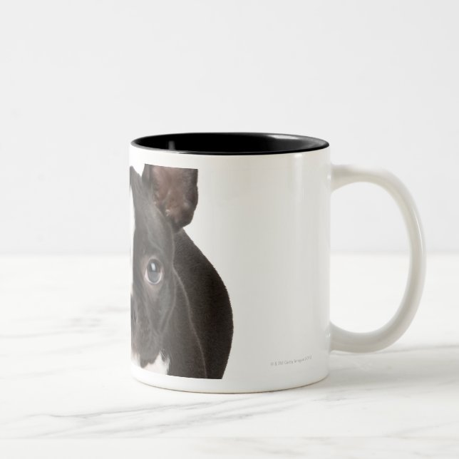 Boston terrier guarding twisty bone Two-Tone coffee mug (Right)