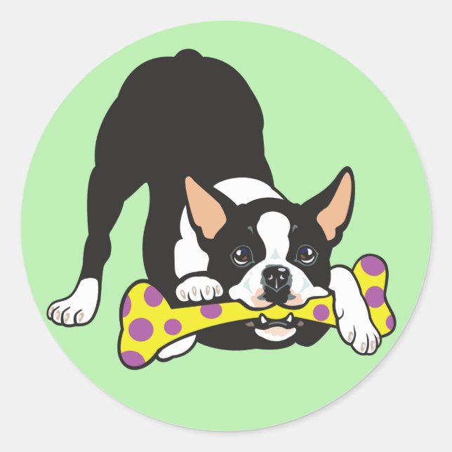 Boston Terrier. Happy go lucky Classic Round Sticker (Front)