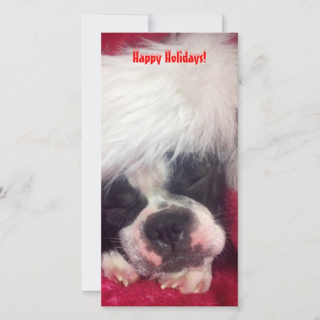 Boston Terrier Happy Holidays Photo Card (Front)