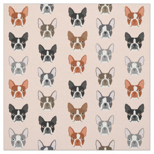 Boston Terrier Heads fabric - cute dogs