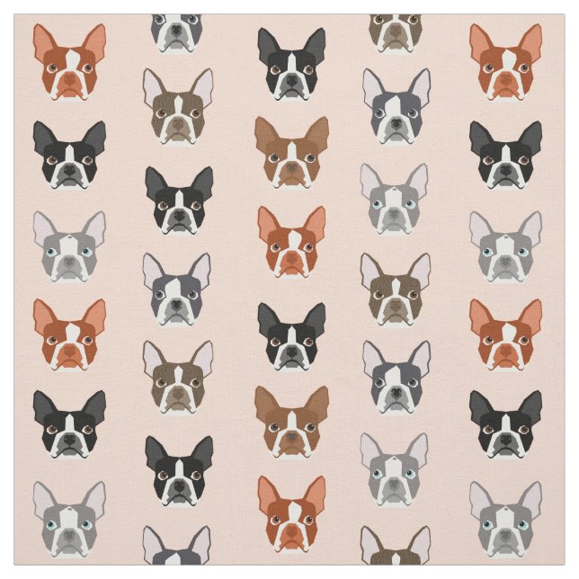 Boston Terrier Heads fabric - cute dogs (Swatch)