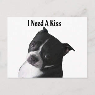 Boston Terrier:  I Need a Kiss Postcard