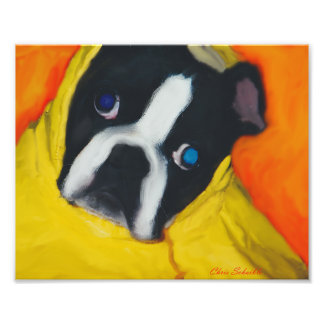 Boston Terrier in a yellow rain coat Photo Print