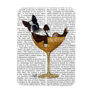 Boston Terrier in Cocktail Glass 2 Magnet