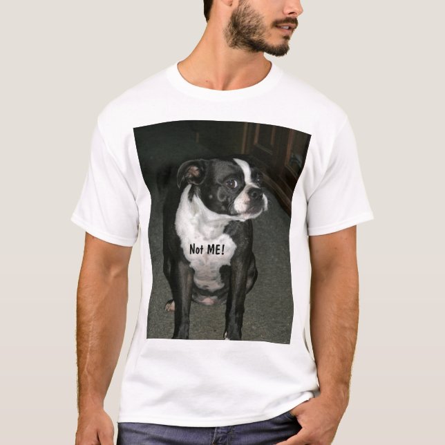 Boston Terrier Innocent Angel T-Shirt (Front)