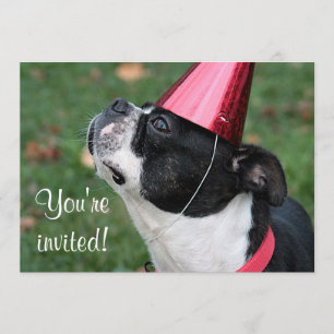Boston Terrier Invitation