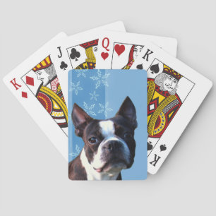Boston Terrier jeu de cartes