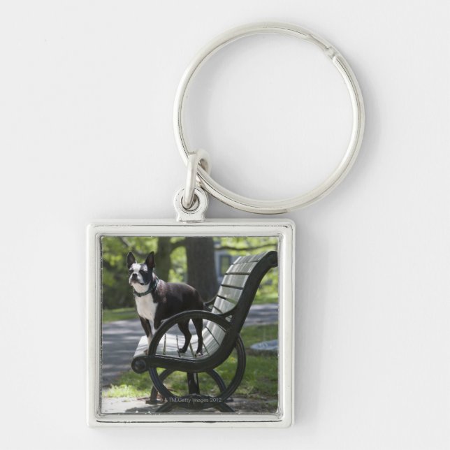 Boston Terrier Keychain (Front)
