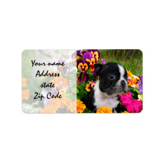 Boston Terrier Label
