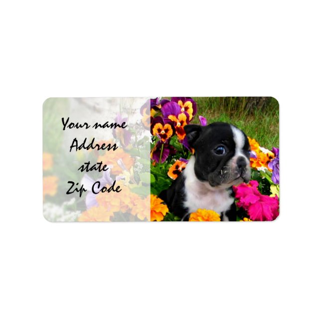 Boston Terrier Label (Front)