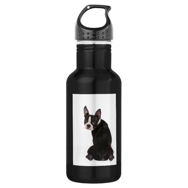 Boston Terrier Liberty 532 Ml Water Bottle (Front)
