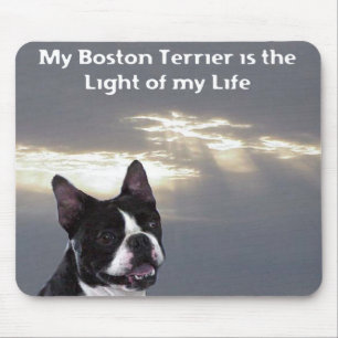 Boston Terrier: Light of my Life Mouse Pad