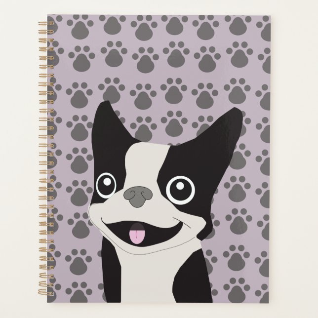 Boston Terrier, lilas pourpre (Devant)