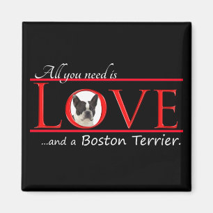 Boston Terrier Love Magnet