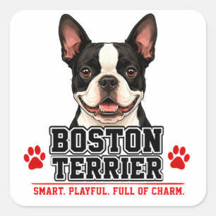 🐾 Boston Terrier Lover Gift🐾 Square Sticker