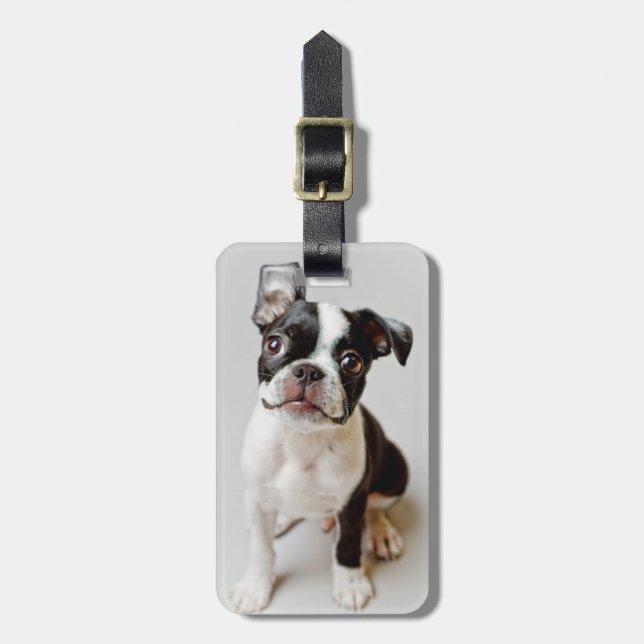 Boston Terrier Luggage Tag (Front Vertical)