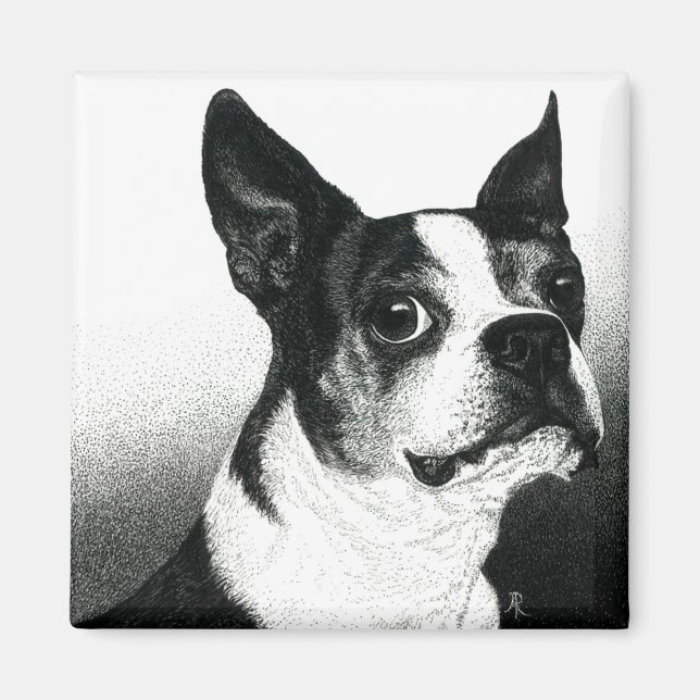 Boston Terrier Magnet - "Boston Style" (Devant)