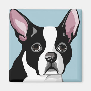 Boston Terrier Magnets