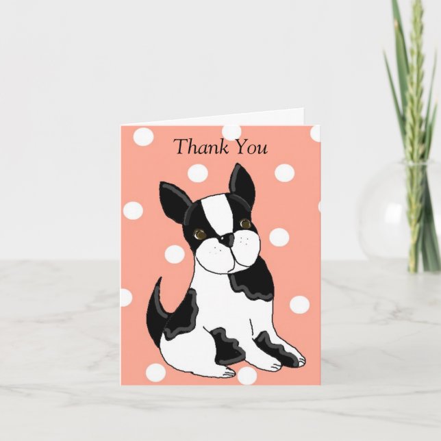 Boston Terrier Merci (Devant)