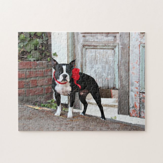 Boston Terrier - Miles Jigsaw Puzzle (Horizontal)