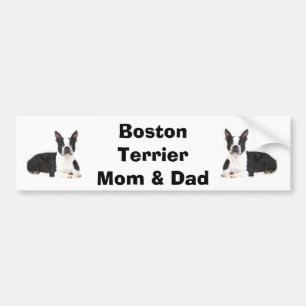 Boston Terrier Mom & Dad Bumper Sticker