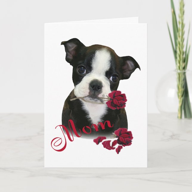 Boston Terrier Mom Holiday Card (Front)