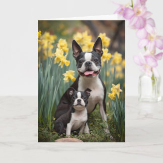 Boston Terrier Mom Mother’s Day Love Card
