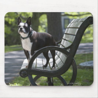 Boston Terrier Mouse Pad