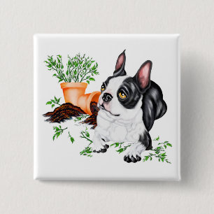 Boston Terrier Naughty Pup Button