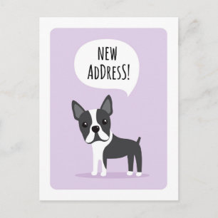 Boston terrier new address moving announcement postcard