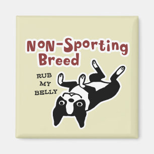 Boston Terrier "Non-Sporting Breed" Magnet