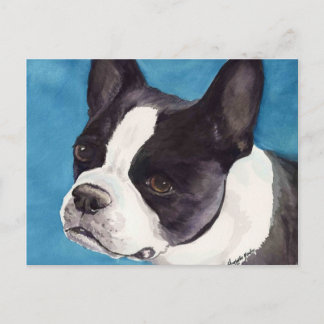 Boston Terrier Original Dog Art Postcard