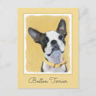 Boston Terrier Painting - Cute Original Dog Art Postcard