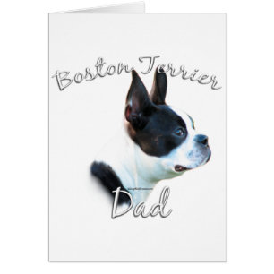 Boston Terrier Papa 2