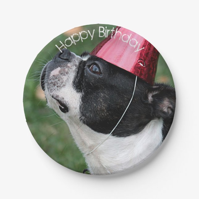 Boston Terrier Paper Plate (Front)
