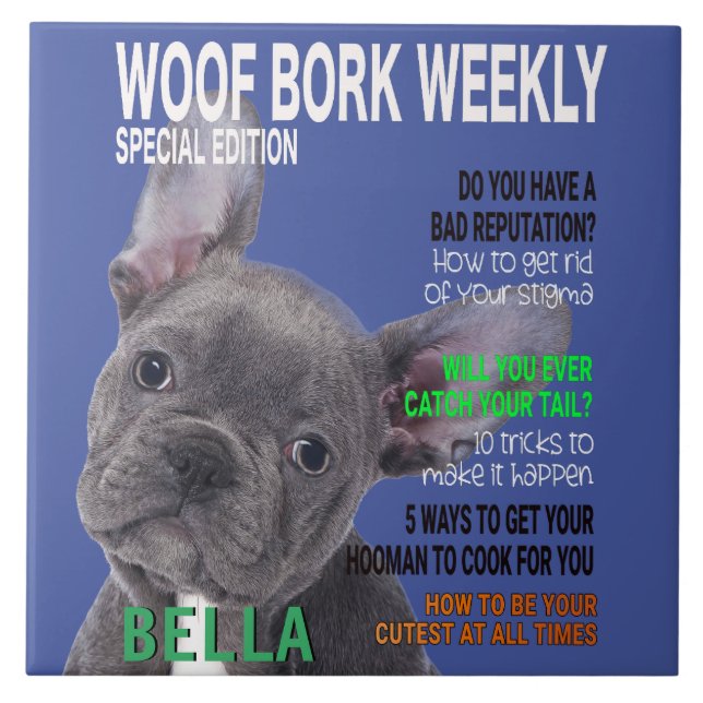 Boston Terrier Parody Magazine Cover  Tile (Front)