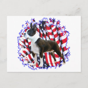 Boston Terrier Patriot Postcard