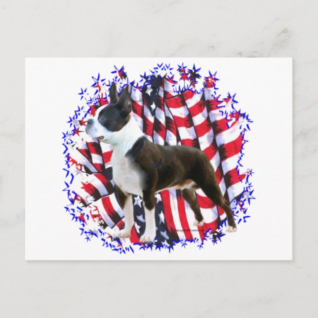 Boston Terrier Patriot Postcard (Front)