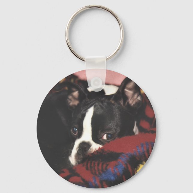 Boston Terrier:  Peek-a-Boo Keychain (Front)