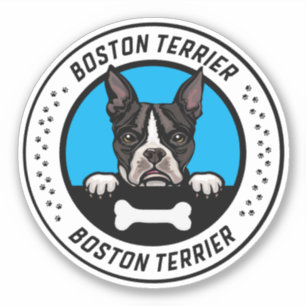 Boston Terrier Peeking Illustration Badge