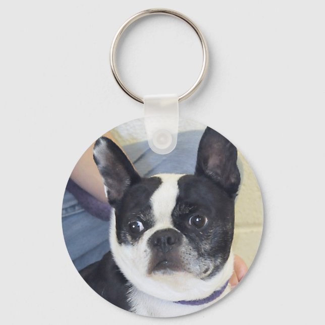 Boston Terrier Photo Keychain (Front)