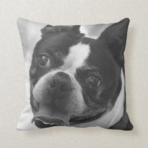 Boston terrier photo throw pillow