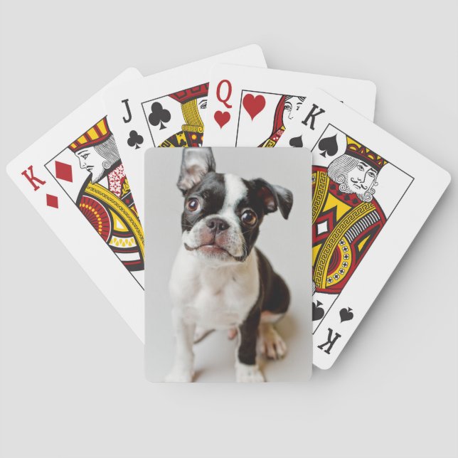Boston Terrier Playing Cards (Back)