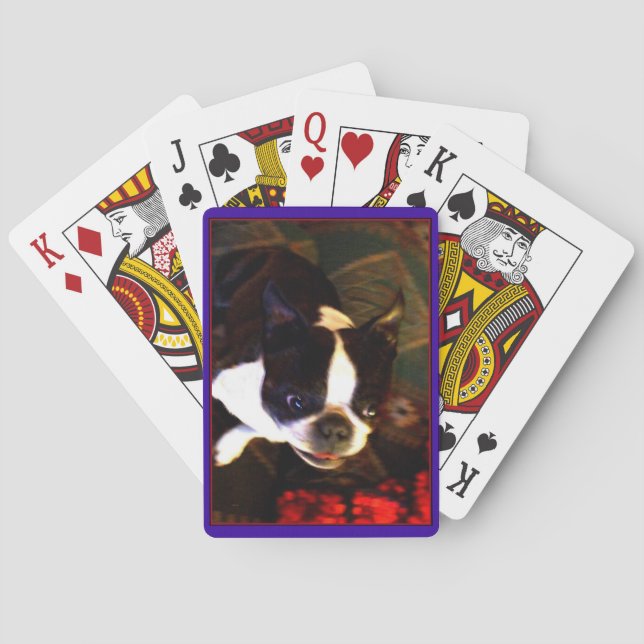 Boston Terrier playing cards (Back)