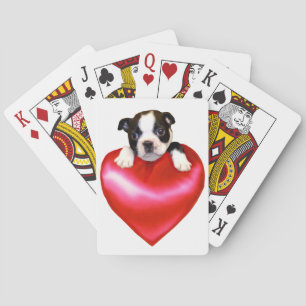 Boston Terrier playing cards