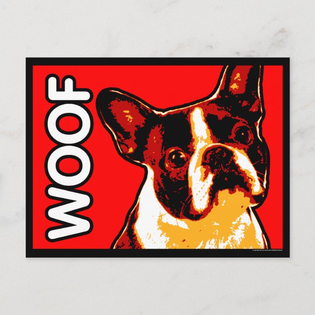 Boston Terrier Postcard (Front)